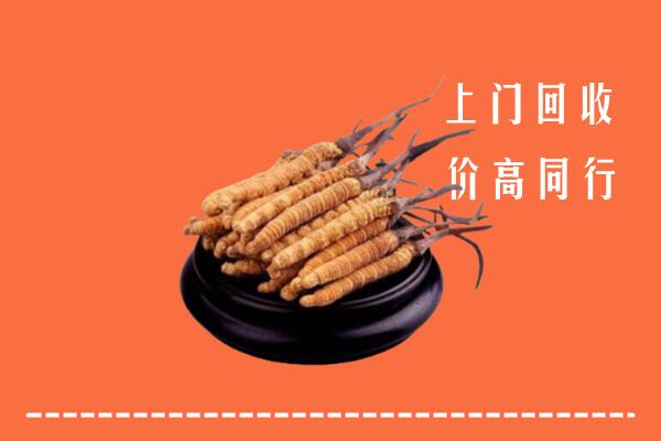 高价求购：德州平原回收散虫草