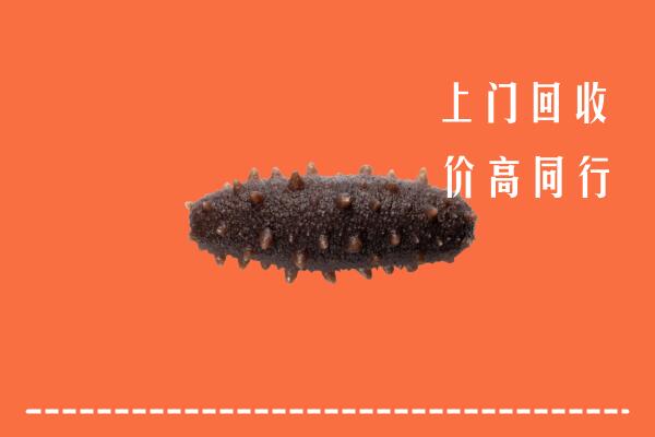 高价求购：德州平原回收海参