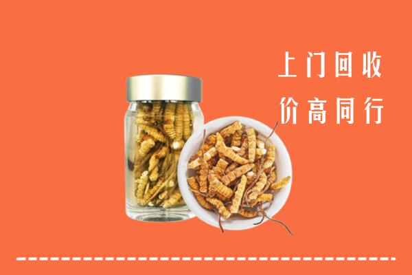 德州平原回收冬虫夏草