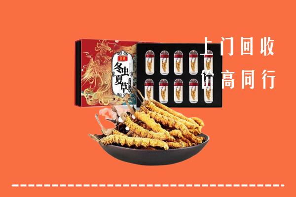 德州平原回收虫草